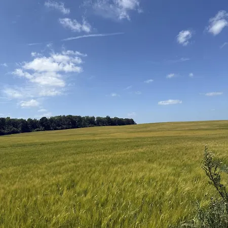 Modern Close To Nature & The City, Centrally Located In Denmark