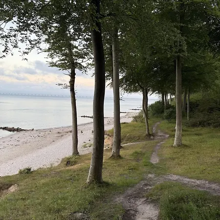 Modern Close To Nature & The City, Centrally Located In Denmark